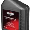 Briggs & Stratton SAE 30 Moottoriöljy 1 Briggs & Stratton SAE 30 Moottoriöljy -Petzl-Työkalukauppa 165495472
