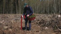 Pottiputki Istutusputki 45 Mm DP -Petzl-Työkalukauppa 366371356 640 2