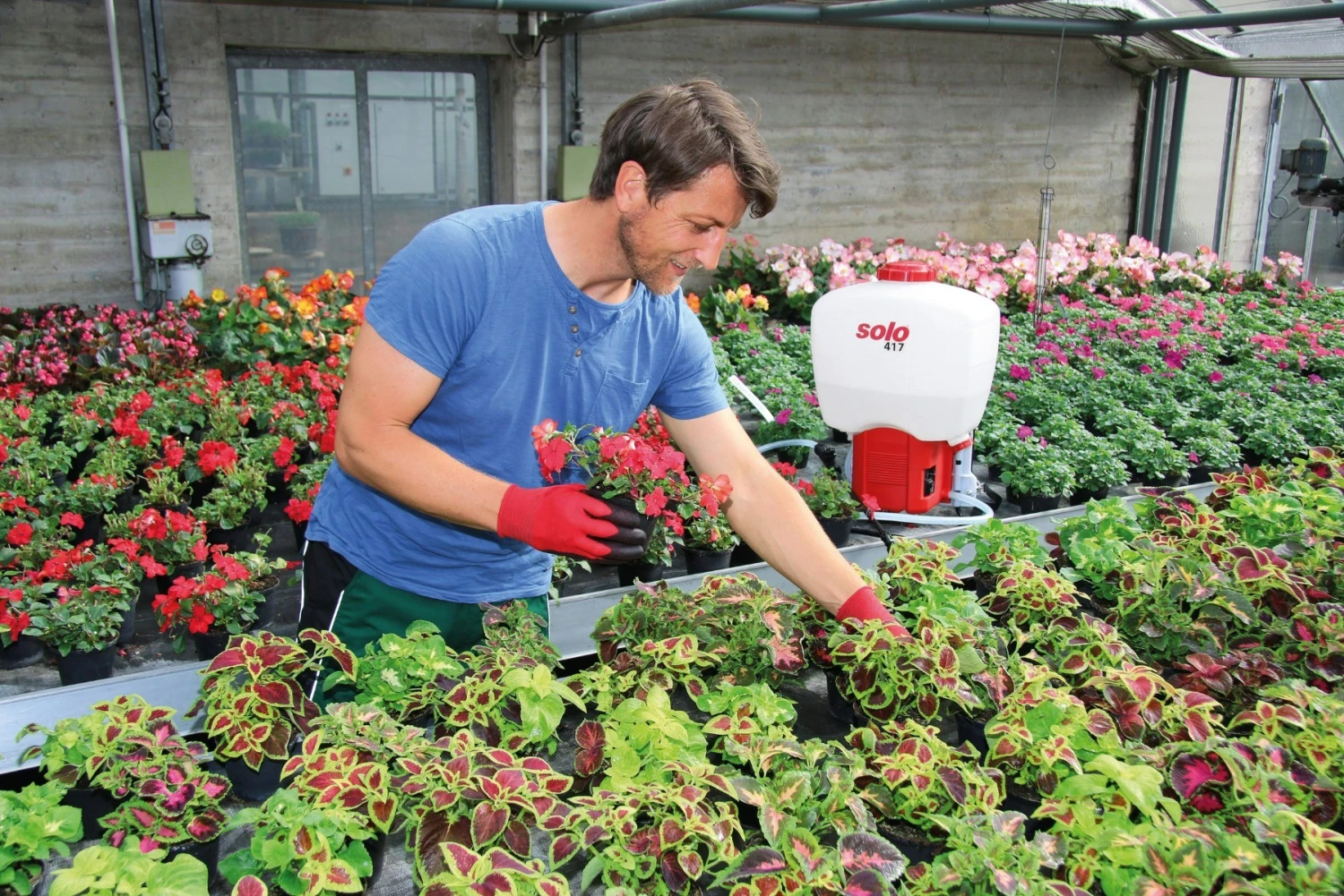 SOLO 417 Ruisku 4 SOLO 417 Ruisku - Image 2