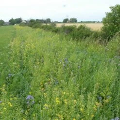 Diana Peltoriista 3 Kg