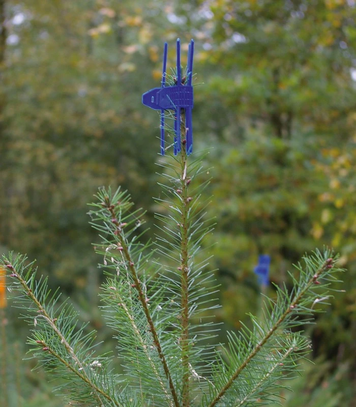 PlantaGard Cactus Latvussuojat 3 PlantaGard Cactus Latvussuojat