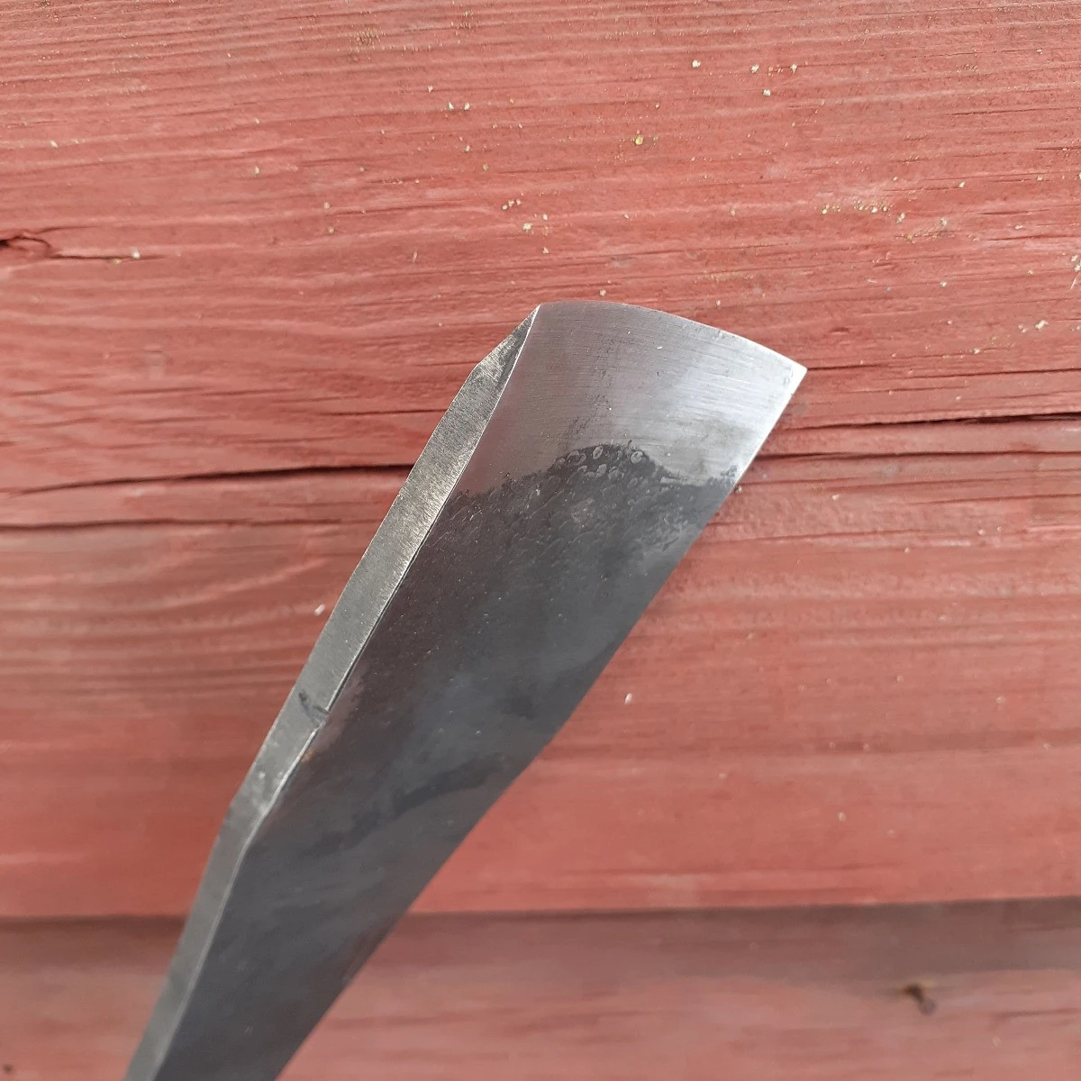 Hirsitaltta, Kouru 6 Hirsitaltta, Kouru - Image 4