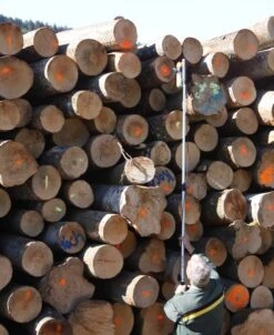 Spraypullon Jatkovarsipidike -Petzl-Työkalukauppa h539 sparypullon jatkovarsi 2