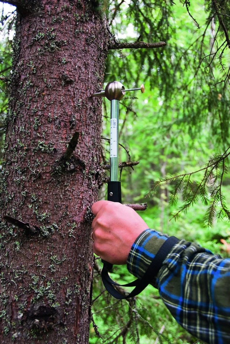 Haglöf Kasvuvasara 4 Haglöf Kasvuvasara - Image 2