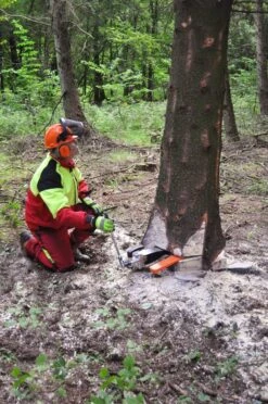 Nordforest Mekaaninen Kaatokiila -Petzl-Työkalukauppa nordforest mekaaninen kaatokiila5 e4023