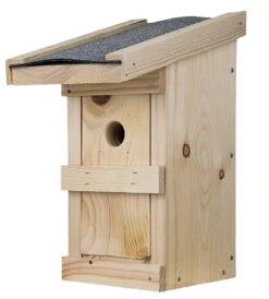 Linnunpönttö, Koottava