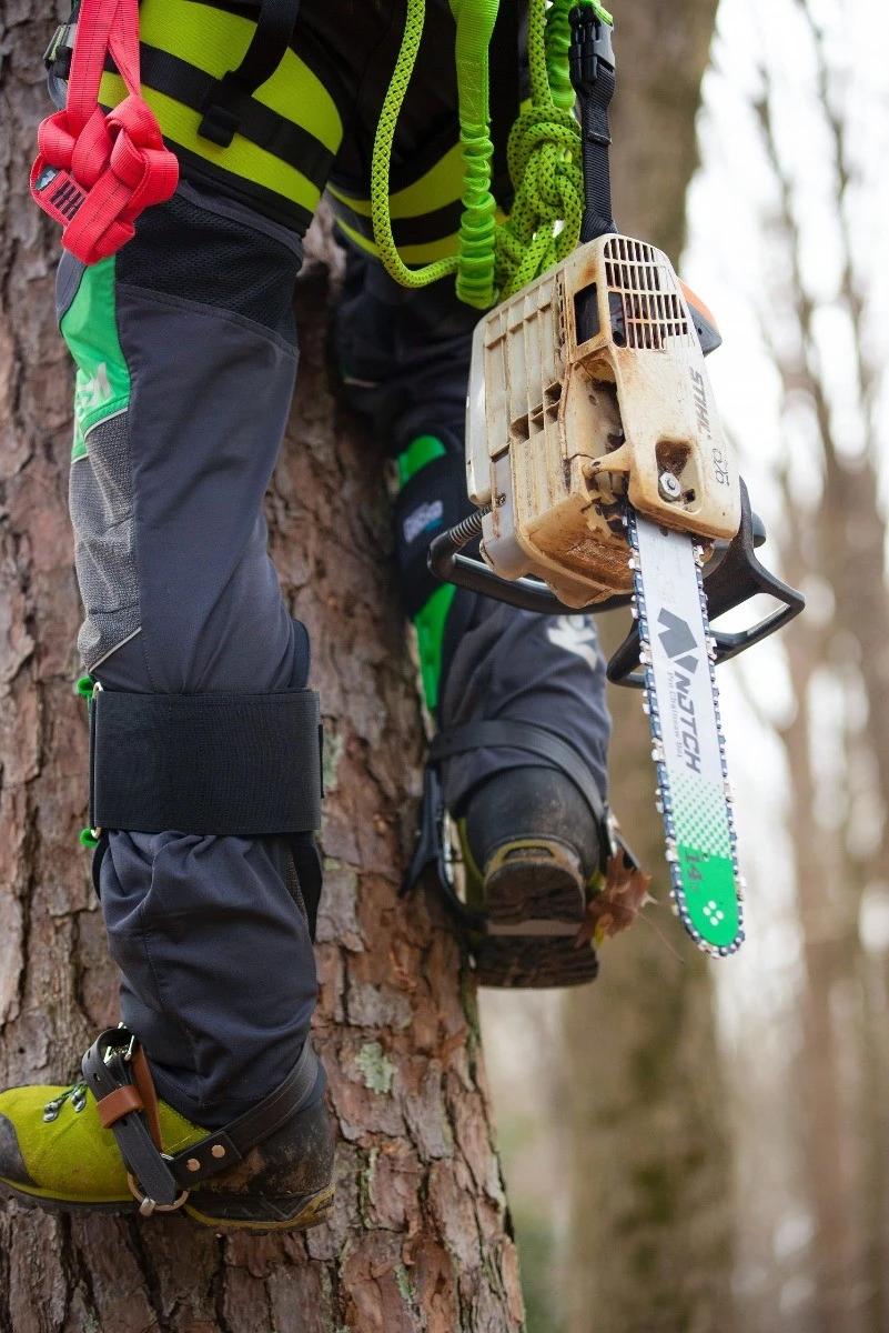 Notch Gecko Steel Kaatokiipeilykengät 4 Notch Gecko Steel Kaatokiipeilykengät - Image 2