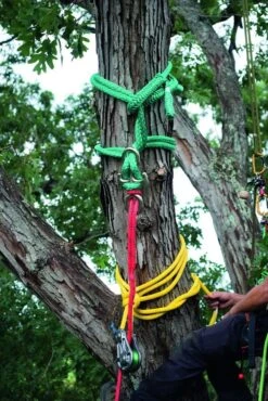 Notch Backbone -Petzl-Työkalukauppa r901 2